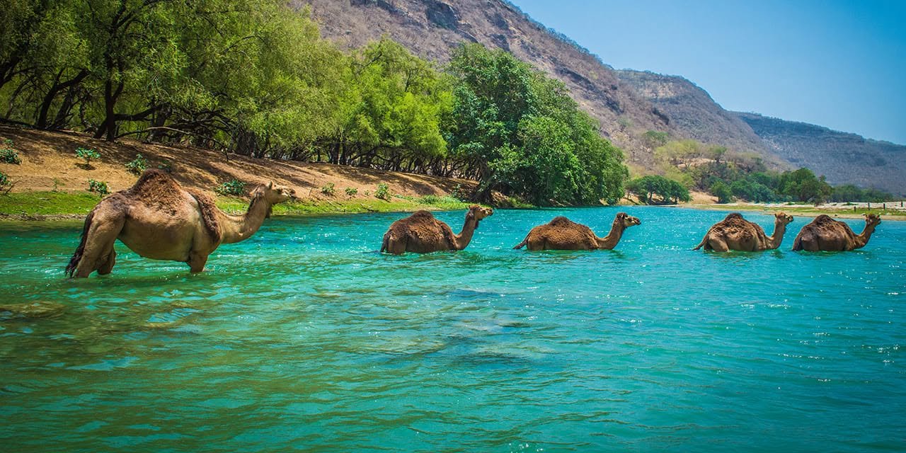 Khareef Season - SALALAH